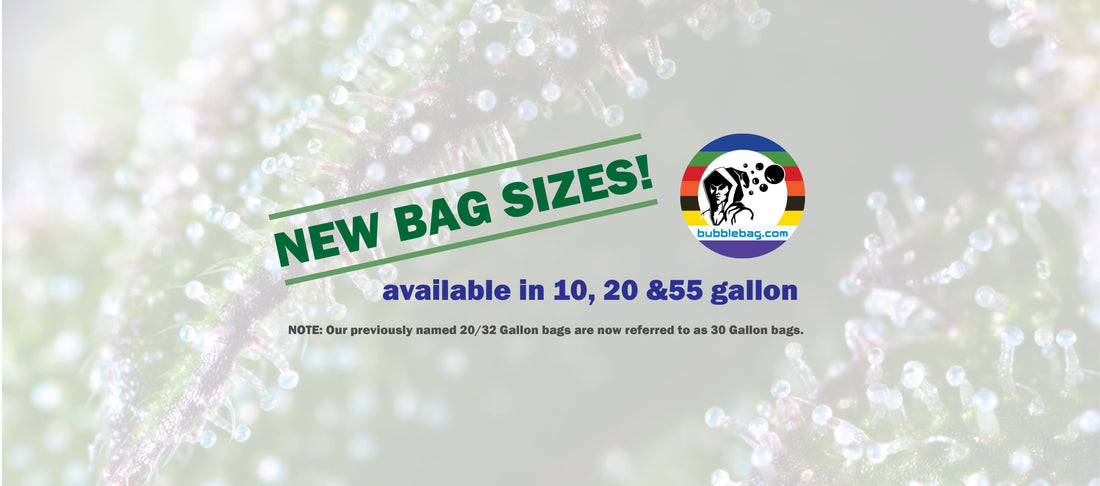 NEW sizes in Bubble Bags available!