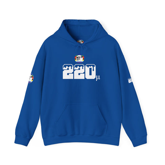 Micron Loyalist Hoodie - Bubble Bags® Edition (220μ Micron Black Unisex Hoodie)