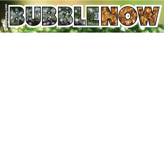 *DISABLED* Bubble Now Sticker (STK BNOW)